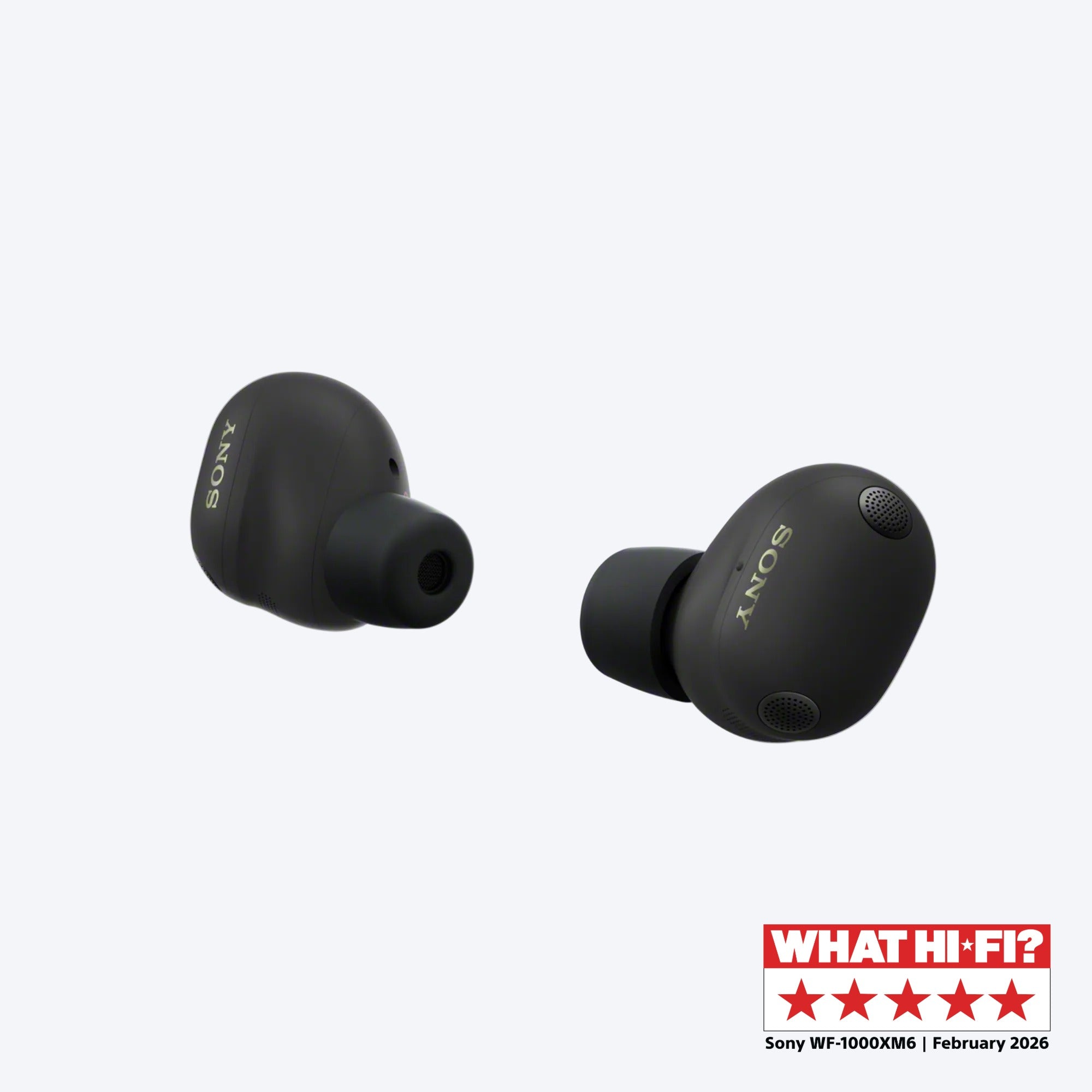 Buy Online Sony WF-1000XM6 Wireless Noise Cancelling Earbuds in BH
