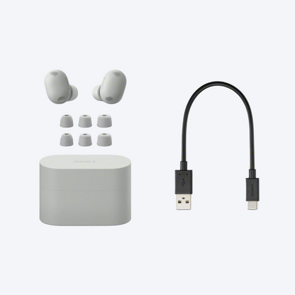 Sony WF-1000XM6 Truly Wireless Noise Cancelling Earbuds